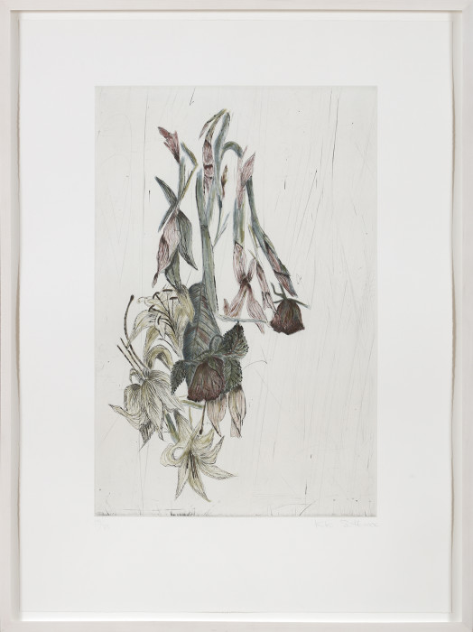Smith, Touch (Lilies), 2006, aquatint, etching and drypoint, edition of 33, 30 x 22 1-16 in., 76 x 56 cm