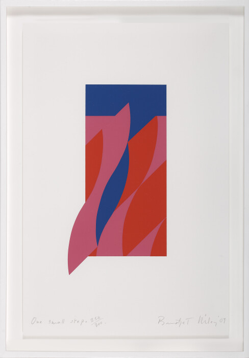 Riley, One Small Step, 2009, screenprint, edition of 300, 17 3-8 x 11 1-2 in., 44.1 x 29.1 cm