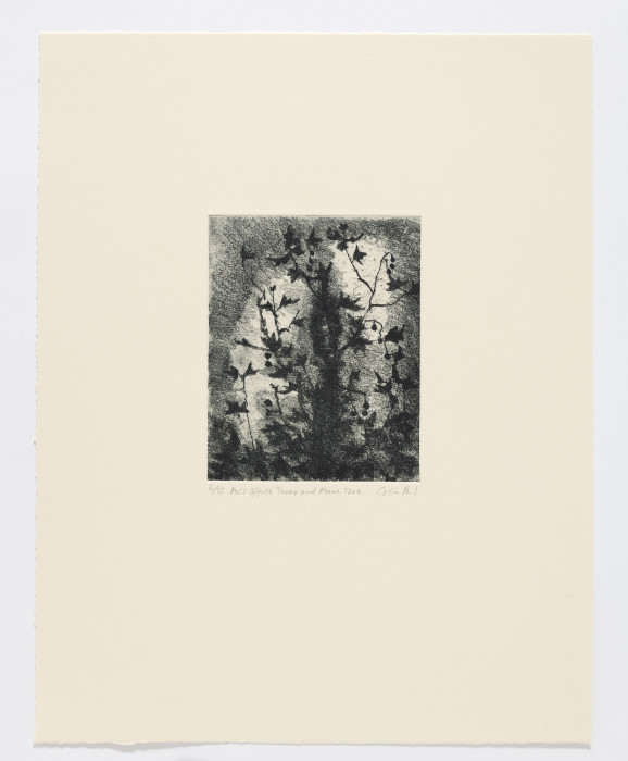 Celia Paul, Post Office Tower and Plane Tree, 2009, soft ground etching, edition of 15,  34.5 x 27 cm