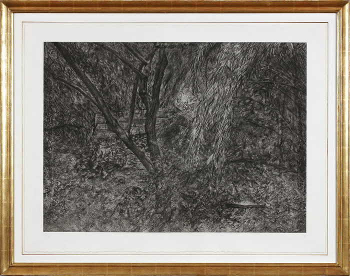 Freud, Painter’s Garden, 2003-4, etching, edition of 46, 30 1-2 x 39 3-8 in., 77.5 x 100.1 cm