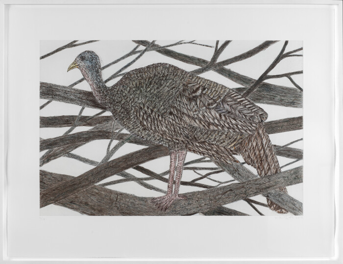 Kiki Smith  In a Bower, 2015 colour etching and aquatint with hand colouring, edition of 18 33 1/16 x 44 1/8 in. / 84 x 112 cm